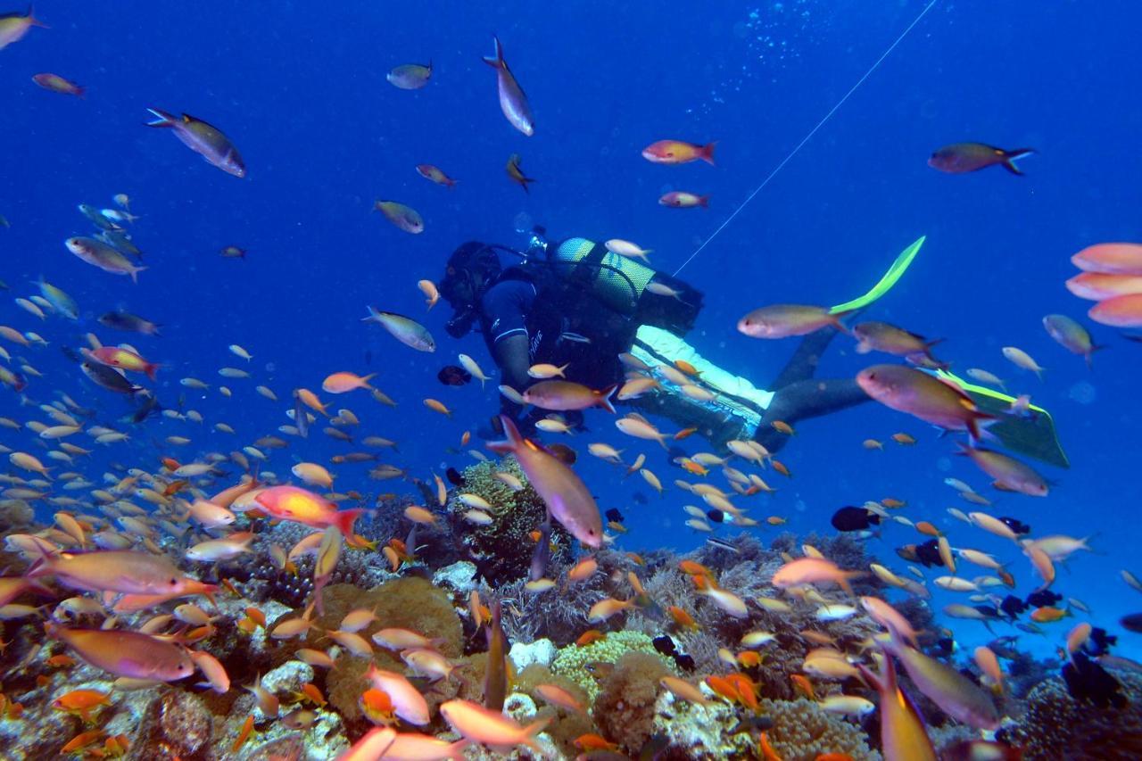 מאטמווה Sunshine Marine Lodge מראה חיצוני תמונה